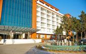 Туры в отель Chinar Hotel & Spa Naftalan
