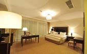 Туры в отель Chinar Hotel & Spa Naftalan