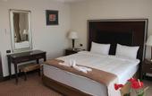 Туры в отель Chinar Hotel & Spa Naftalan