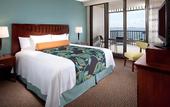Туры в отель Courtyard Miami Coconut Grove