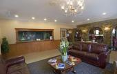 Туры в отель Best Western French Quarter Landmark