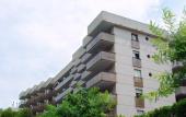 Туры в отель Mariposa Apartments