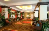 Туры в отель Sheraton Nassau Beach Resort