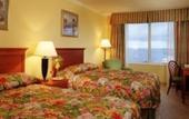 Туры в отель Paradise Island Harbour Resort