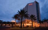 Туры в отель Riu Palace Paradise Island