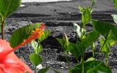 Туры в отель Finca de la Florida Rural Hotel