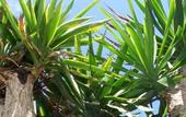 Туры в отель Finca de la Florida Rural Hotel