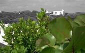 Туры в отель Finca de la Florida Rural Hotel
