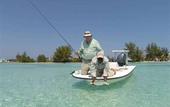 Туры в отель Bimini Bay Resort