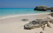 Туры в отель Bimini Bay Resort