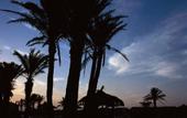 Туры в отель Las Palmeras