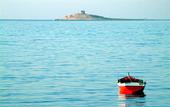 Туры в отель Bellevue del Golfo