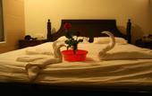 Туры в отель Morjim Club Beach Resort