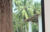 Туры в отель Morjim Club Beach Resort