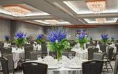 Туры в отель Hilton Anchorage