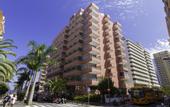Туры в отель Checkin Concordia Playa