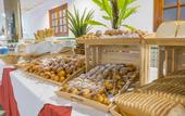 Туры в отель Checkin Concordia Playa