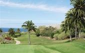 Туры в отель Vincci Seleccion Buenavista Golf & Spa