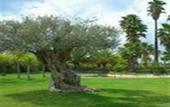 Туры в отель Valencia Golf