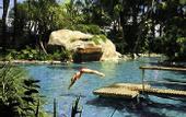 Туры в отель Cairns Colonial Club Resort