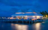 Туры в отель Diamonds Thudufushi Island