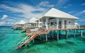 Туры в отель Diamonds Thudufushi Island