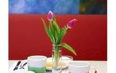 Туры в отель Creatif Hotel Elephant