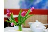 Туры в отель Creatif Hotel Elephant