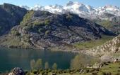 Туры в отель Arcea Los Lagos Nature
