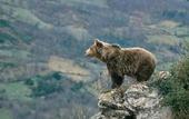Туры в отель Arcea Los Lagos Nature