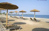 Туры в отель Alea Hotel & Suites