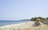 Туры в отель Alea Hotel & Suites