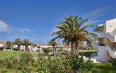 Туры в отель Cephalonia Palace