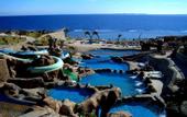 Туры в отель Hauza Beach Resort