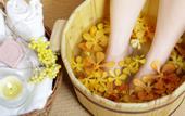 Туры в отель Golden Rose