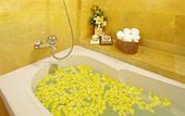 Туры в отель Golden Rose