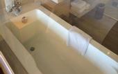 Туры в отель Ramada Plaza Shenzhen North