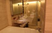 Туры в отель Ramada Plaza Shenzhen North