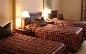 Туры в отель Mayflower Suites