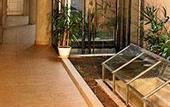 Туры в отель Zentra Hotel