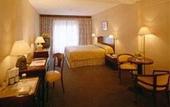 Туры в отель Howard Johnson Da Vinci Hotel