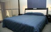 Туры в отель CITIC Hotel Beijing Airport