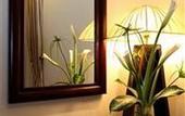 Туры в отель Camellia Hue