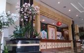 Туры в отель The Camelot Hotel Pattaya