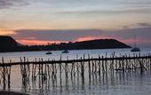 Туры в отель Samui Pier Resort