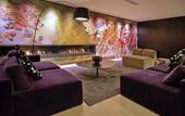Туры в отель Sofitel Lyon Bellecour