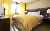 Туры в отель Sofitel Lyon Bellecour