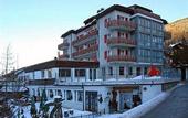 Туры в отель Turm Hotel Gracherhof