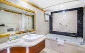 Туры в отель Holiday International Hotel Embassy District