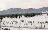 Туры в отель Balkan Jewel Resort